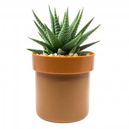 POLICE Flower Pot Safe With Key Lock
